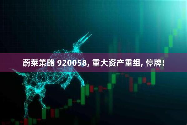 蔚莱策略 920058, 重大资产重组, 停牌!