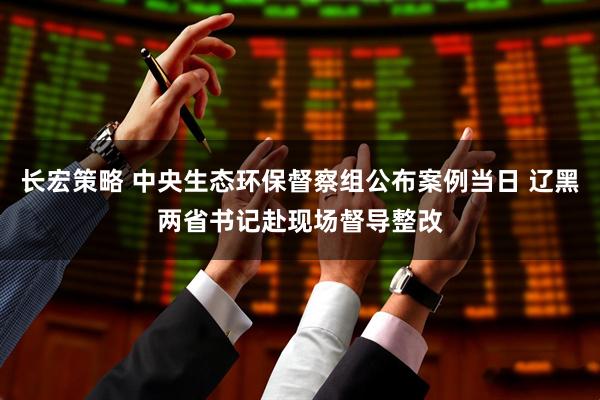 长宏策略 中央生态环保督察组公布案例当日 辽黑两省书记赴现场督导整改