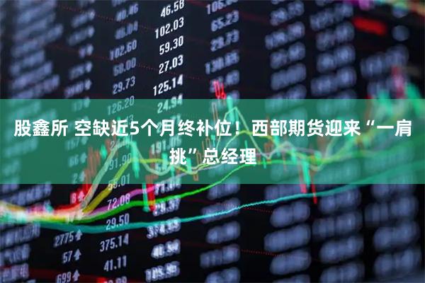 股鑫所 空缺近5个月终补位！西部期货迎来“一肩挑”总经理